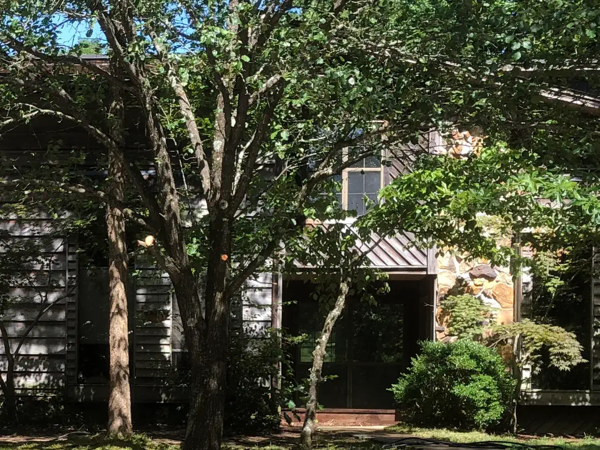 A Stonington townhome nearly hidden behind mature shade trees