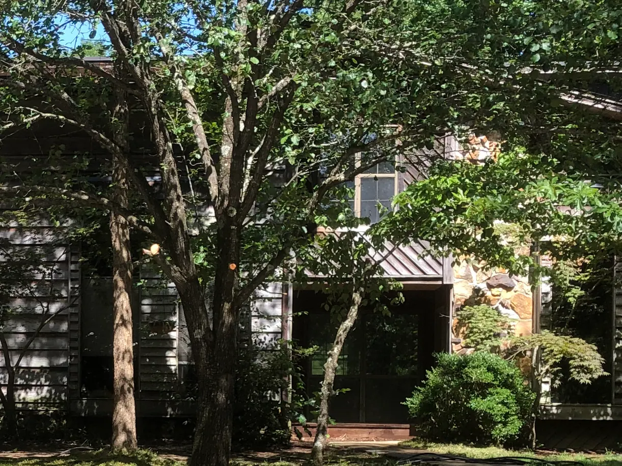 A Stonington townhome nearly hidden behind mature shade trees