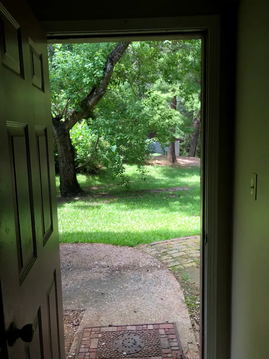 View from an open door out to the shaded green yard
