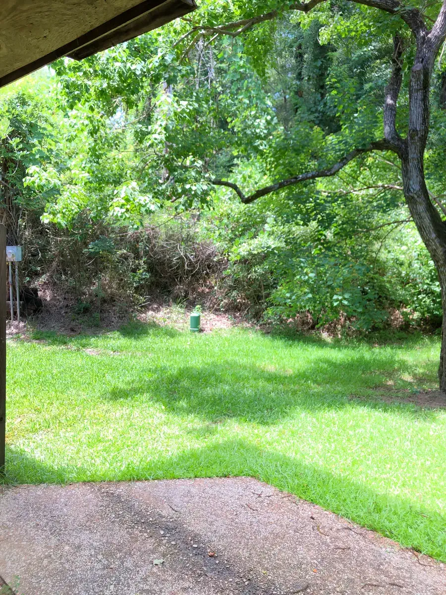 Shaded backyard lawn under mature trees