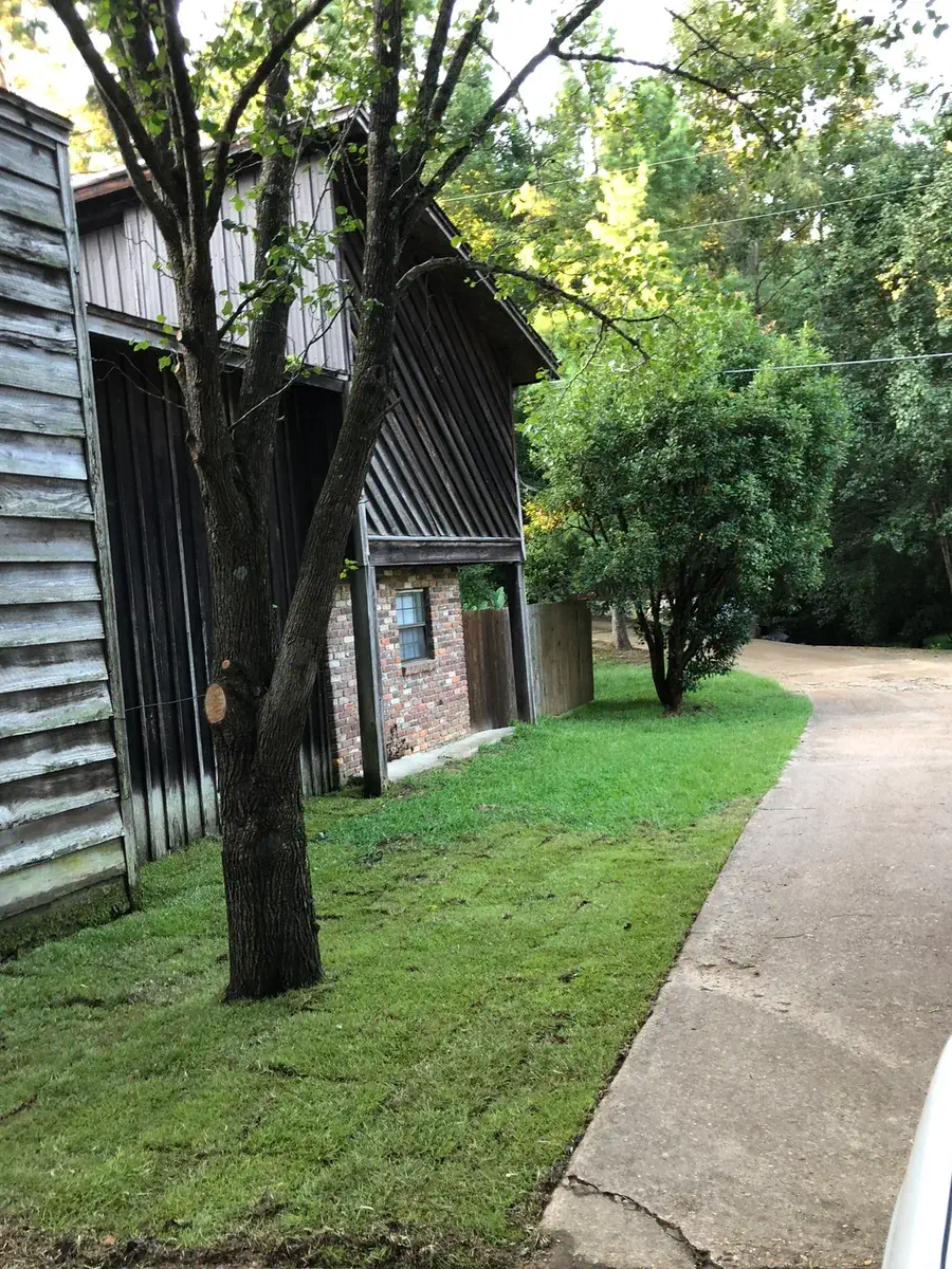 Row of wooden townhomes along the shaded drive