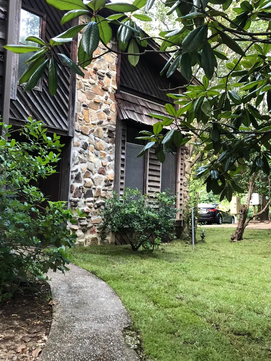 Curved walkway past a stone and cedar facade, under a magnolia tree